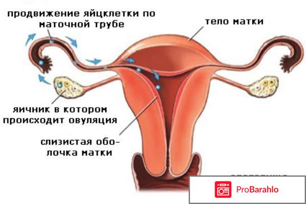 Электронные тесты на овуляцию отрицательные отзывы
