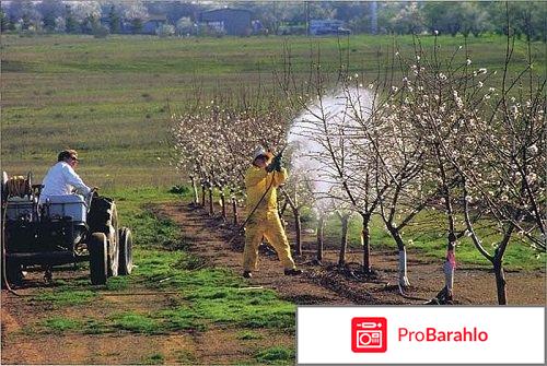 Креолин для людей лечение отзывы отрицательные отзывы