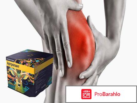 Артропант (Artropant) фото