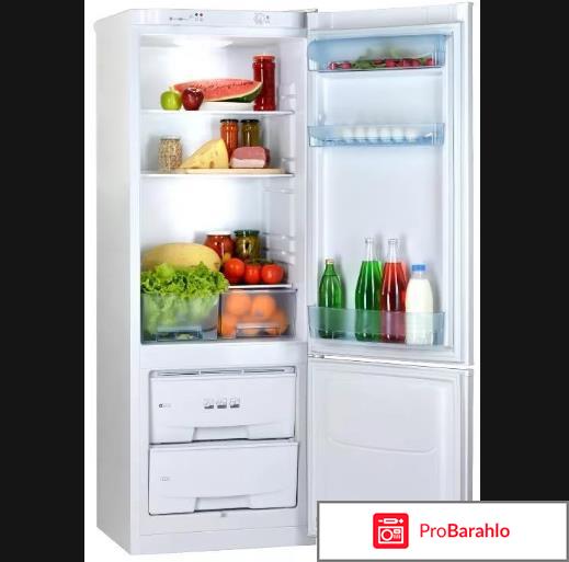 Двухкамерный холодильник Позис RK-102 бежевый 
