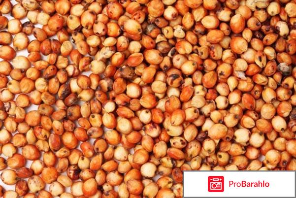 Сорго отрицательные отзывы