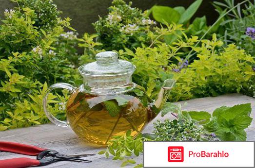 Монастырский сердечный чай правда или развод отрицательные отзывы