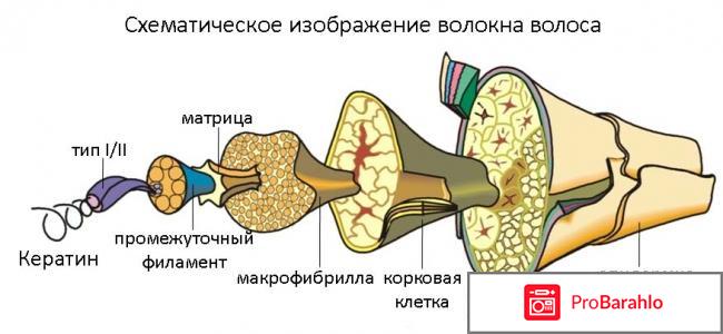 Цена кератина для волос 