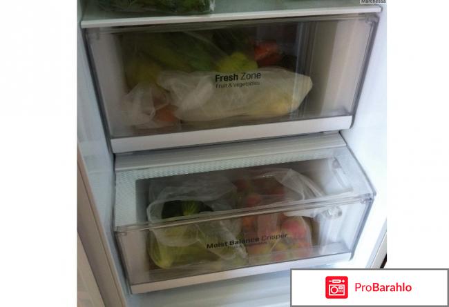 Холодильники лджи отзывы покупателей реальные отзывы