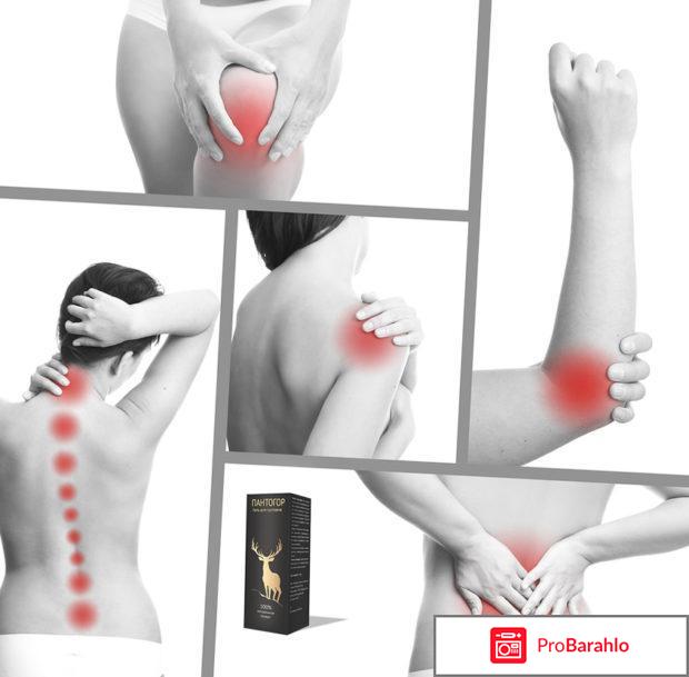 Пантовигар гель для суставов