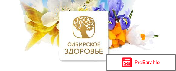 Синхровитал 4 сибирское здоровье 