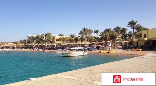 Палм бич резорт обман