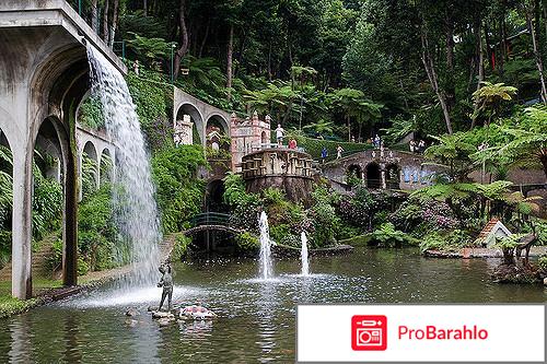 Мадейра остров отзывы туристов отрицательные отзывы