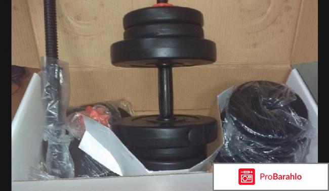 Гантель сборная Lite Weights 20 кг (10кг х 2шт) 