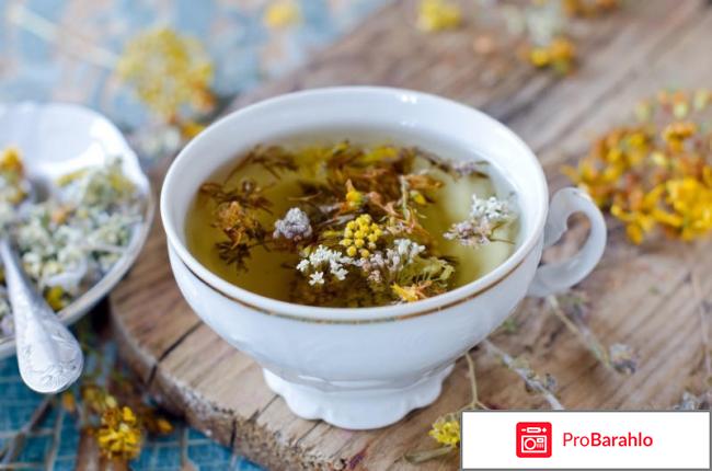 Лечение ожирения народными средствами: сборы трав фото