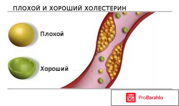 ATEROL обман