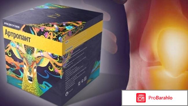 Артропант (Artropant) фото
