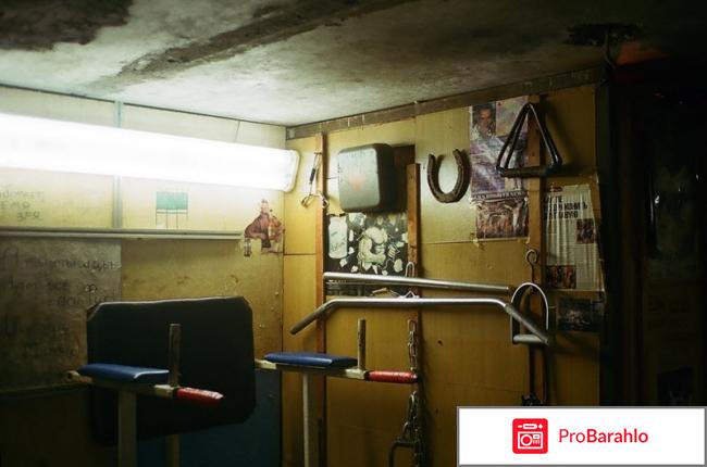 Хаммерайт отзывы владельцев