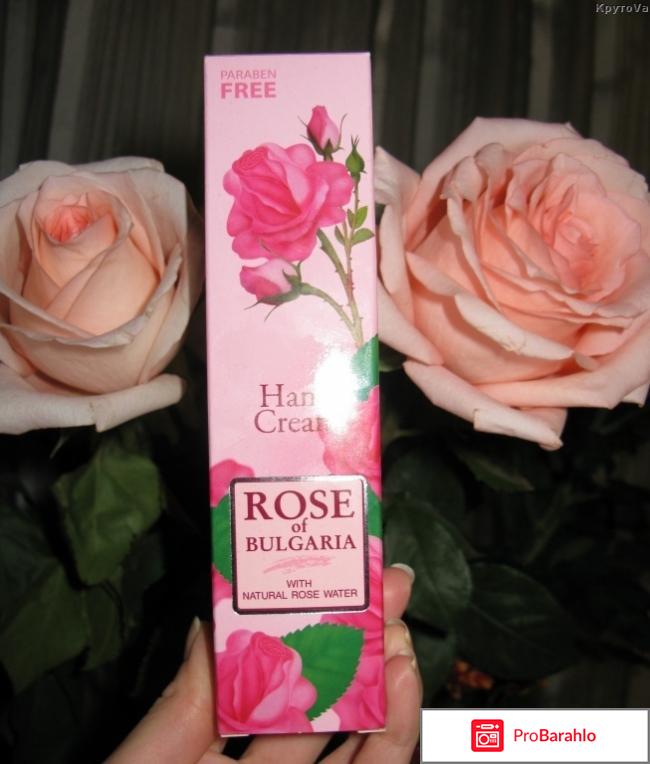 Rose of bulgaria 
