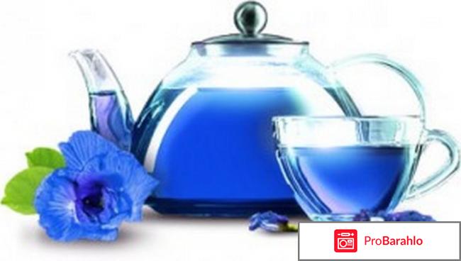 Пурпурный чай чанг шу купить отрицательные отзывы