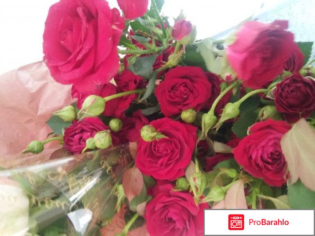 Samsung Galaxy J7 (2016) обман