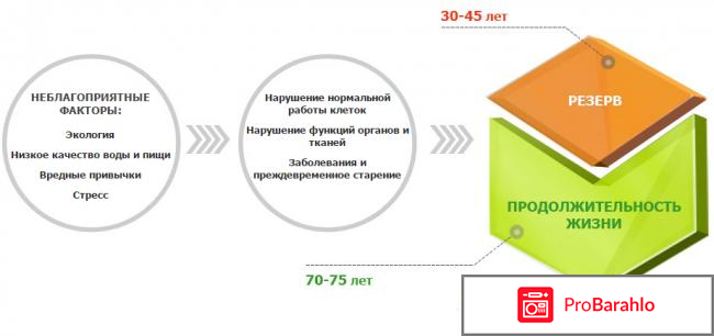 Цитамины что это такое отрицательные отзывы