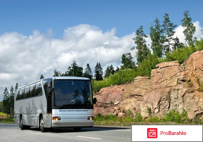 Автобусные туры отзывы туристов 