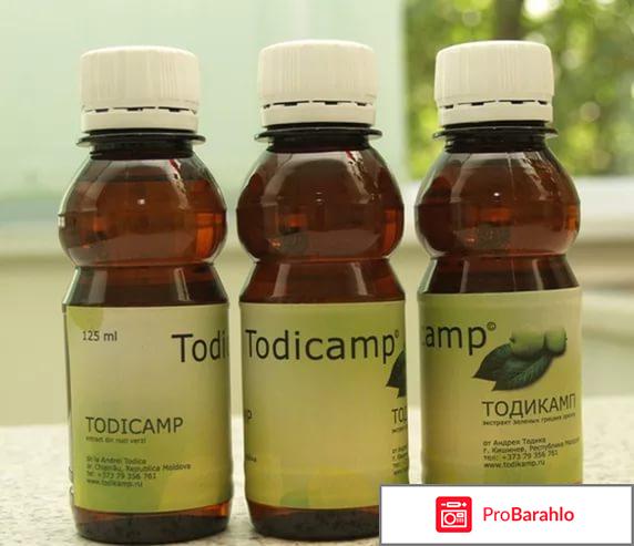 Тодикамп форум 2017 г обман