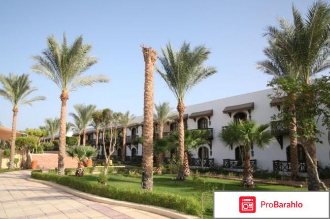 Дессоле египет 