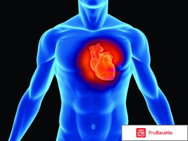 Корментол аналоги обман