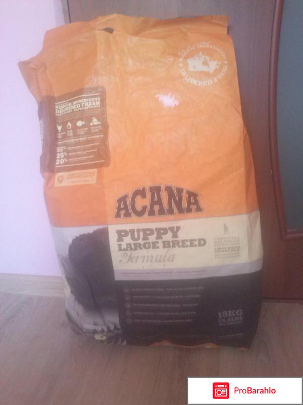 Корм для собак acana 