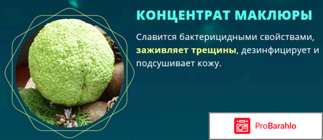 Сангридок спрей от грибка - развод или нет? фото