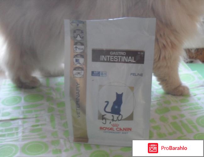 Сухой корм для кошек Royal Canin Gastro  INTESTINAL GI32 