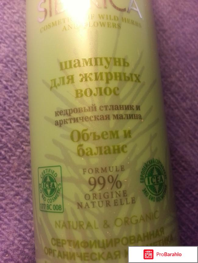 Шампунь для жирных волос Natura Siberica 