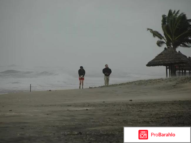 Вьетнам в январе погода отзывы туристов фото