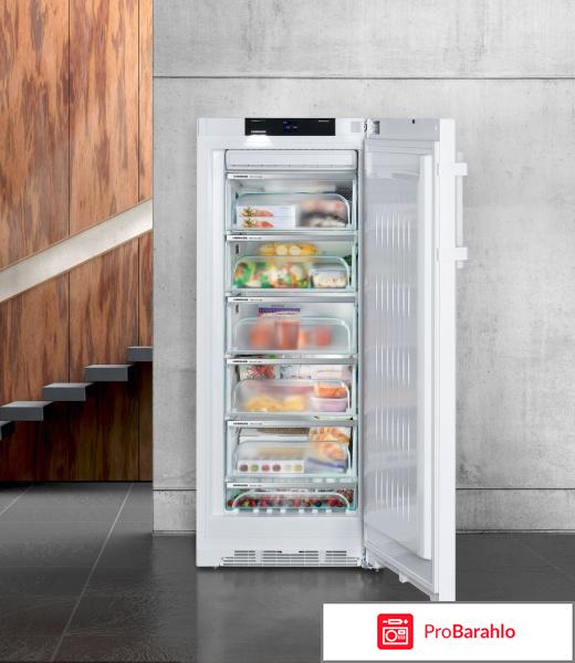 Морозильник Liebherr GNP 3255 