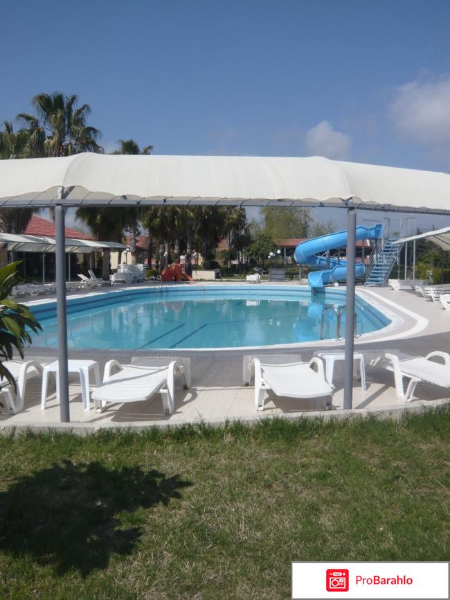 Euphoria palm beach resort 5 обман