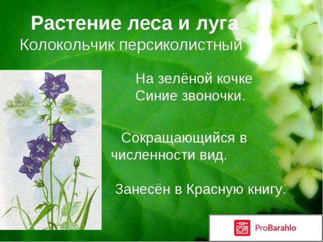 Какие растения занесены в красную книгу отрицательные отзывы