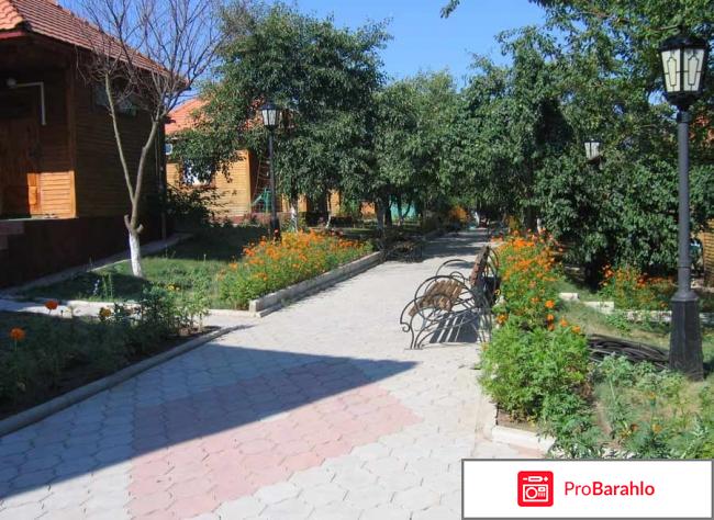 База отдых дорожник благовещенская 