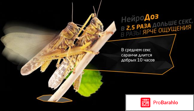 Нейродоз отрицательные отзывы отрицательные отзывы