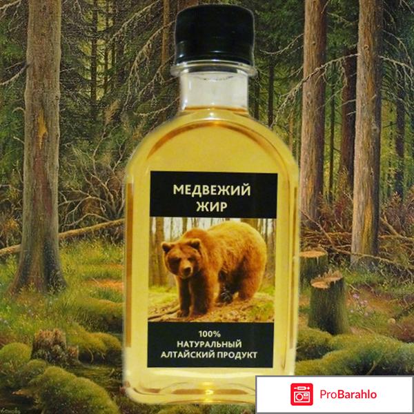 Медвежий жир лечебные свойства и противопоказания 