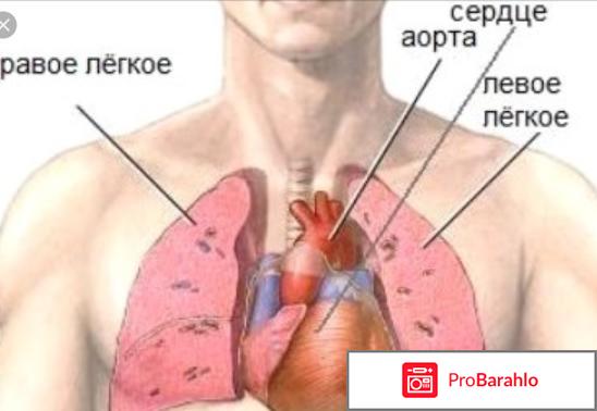 Колет в области сердца что это может быть 