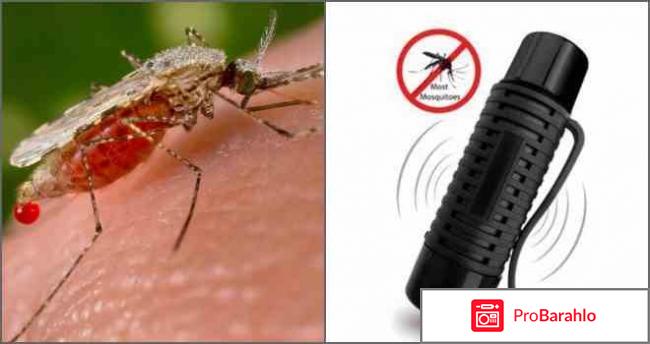 Insector - ультразвуковой отпугиватель комаров обман