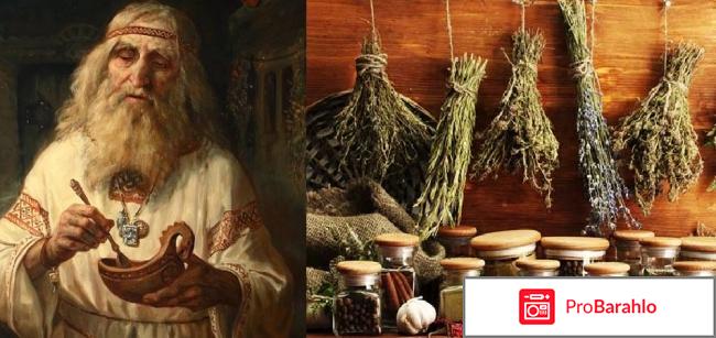 Танакан инструкция по применению отзывы