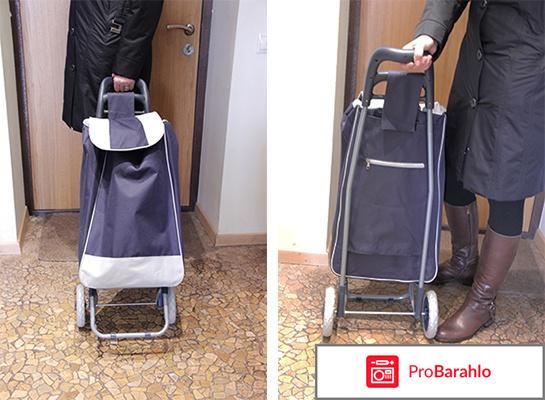 Сумка-тележка хозяйственная обман