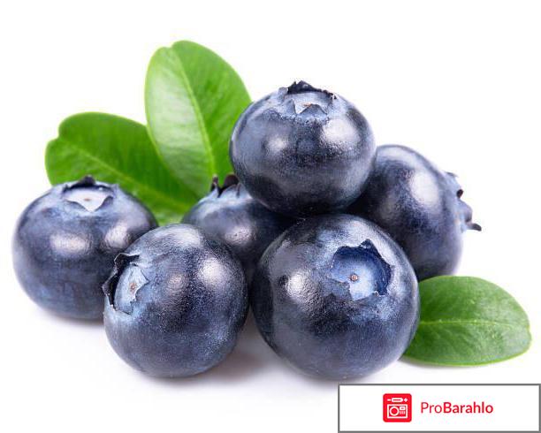 Голубитокс купить в луганске 