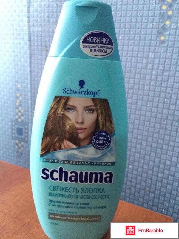 Шампунь шаума зимняя свежесть отзывы 