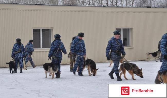 Фсин отзывы сотрудников обман