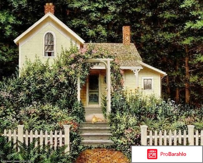 Куплю дачу в лесу 