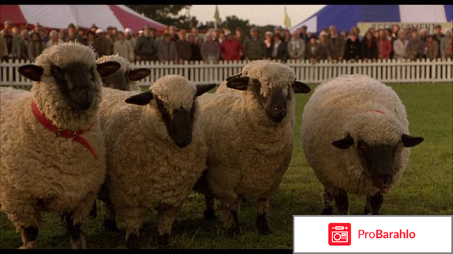 Бэйб: Поросенок в городе (Blu-ray) реальные отзывы