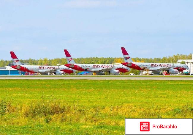 Авиакомпания red wings официальный сайт отзывы 