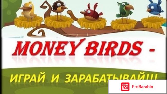 Money birds 2017 отрицательные отзывы