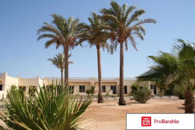 Coral beach hurghada hotel 