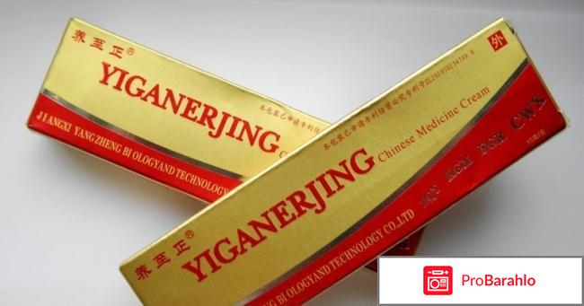 Yiganerjing 