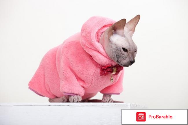 Комбинезоны теплые отрицательные отзывы